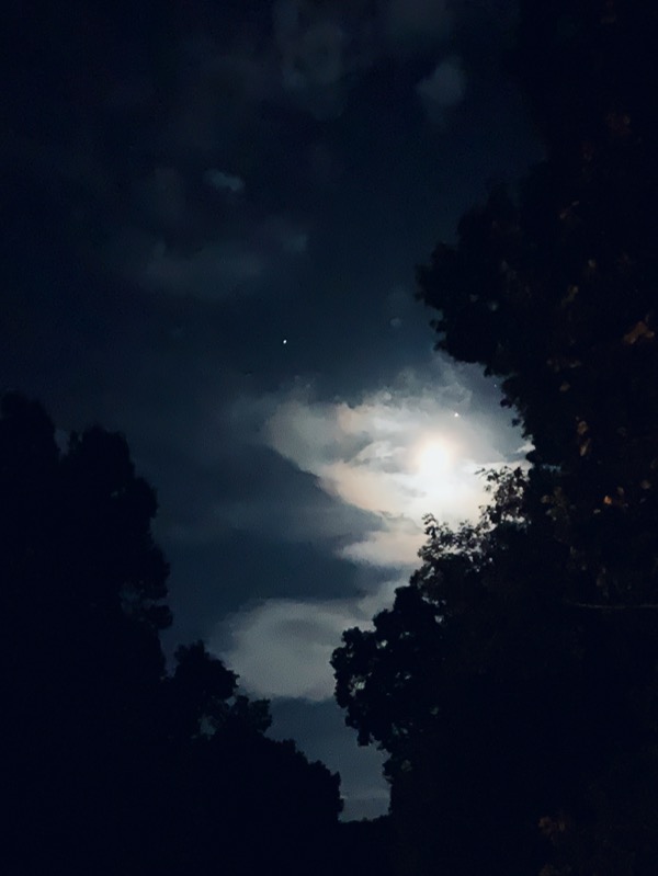 Moonlit clouds and stars on a warm summer night.